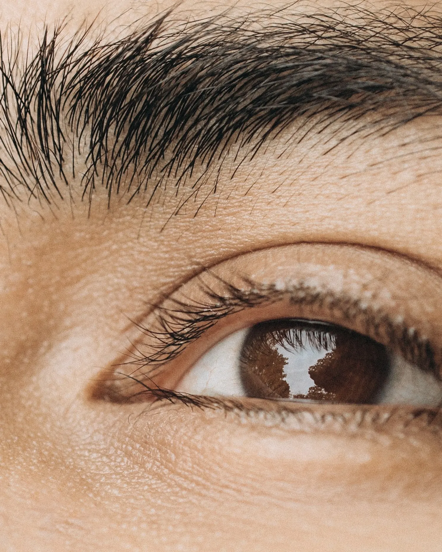 Skin around the eye in close detail.